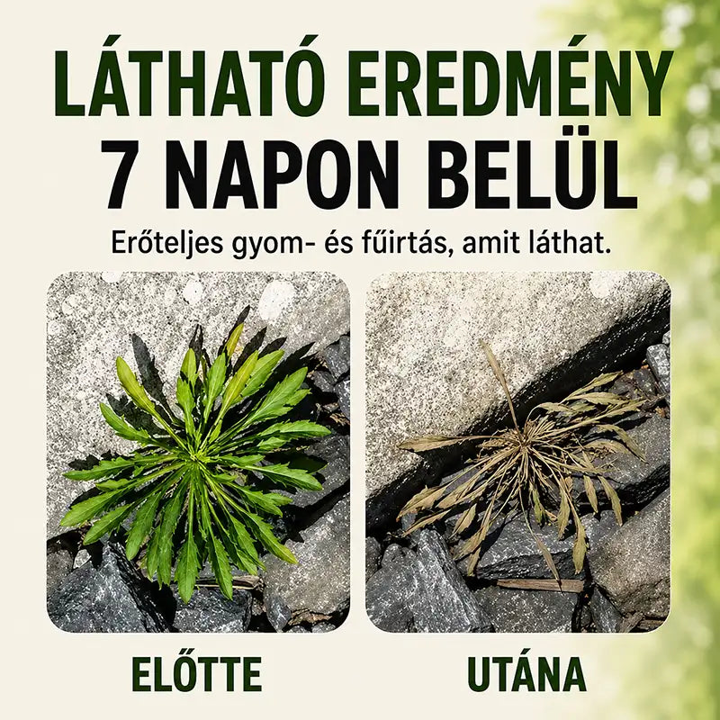 Természetes, gyorsan ható gyom- és fűirtó spray